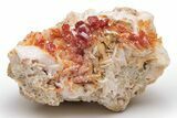 Ruby Red Vanadinite Crystals on Barite - Morocco #196360-1